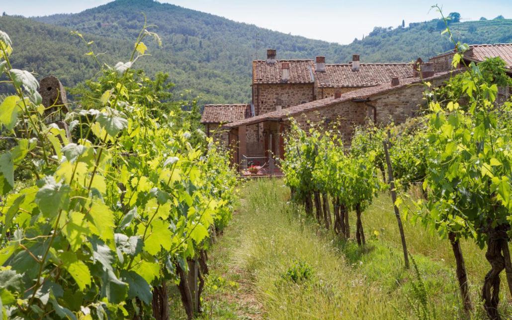 Le Masse Greve in Chianti Eksteriør billede